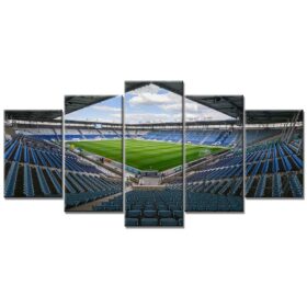 1. FC Magdeburg Sport 07 FCM Leinwandbilder