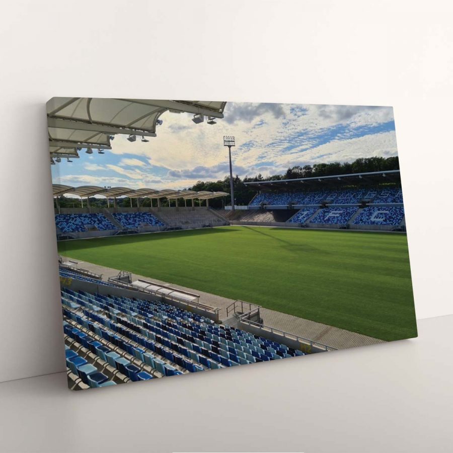 1. FC Saarbrücken Spielfeld Ludwigspark Stadion 2 Leinwandbilder – Bild 7