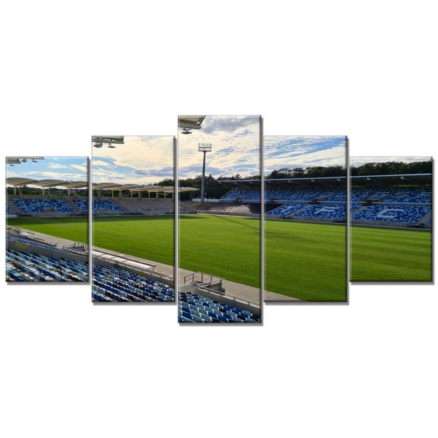 1. FC Saarbrücken Spielfeld Ludwigspark Stadion 2 Leinwandbilder – Bild 6