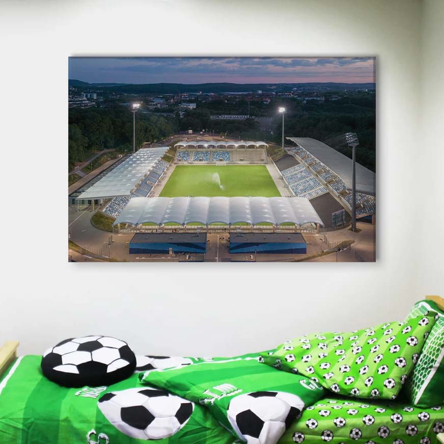 1. FC Saarbrücken Spielfeld Ludwigspark Stadion Leinwandbilder – Bild 4