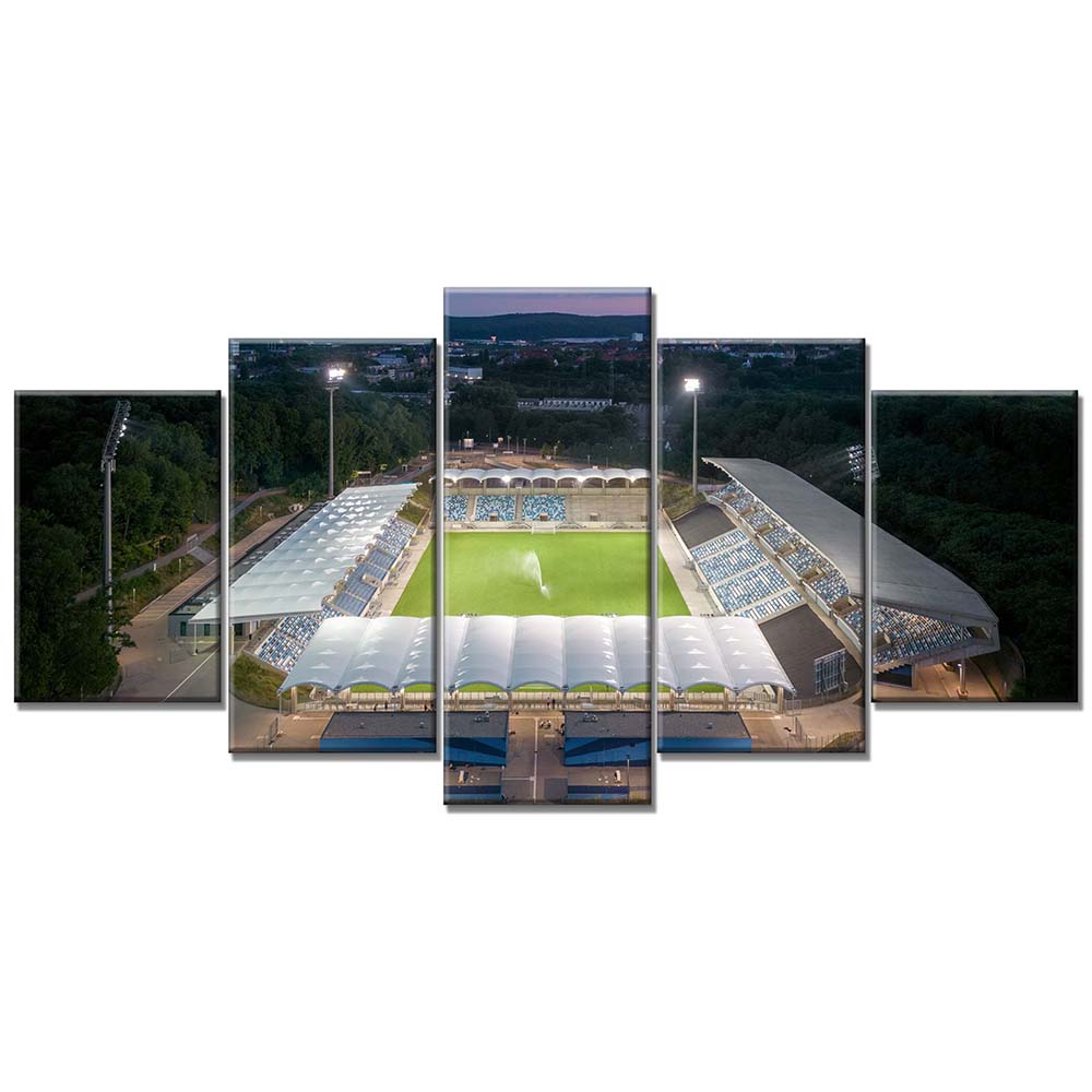 1. FC Saarbrücken Spielfeld Ludwigspark Stadion Leinwandbilder