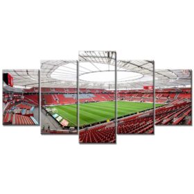 Bayer 04 Leverkusen BayArena Spielfeld 2 B04 Leinwandbilder