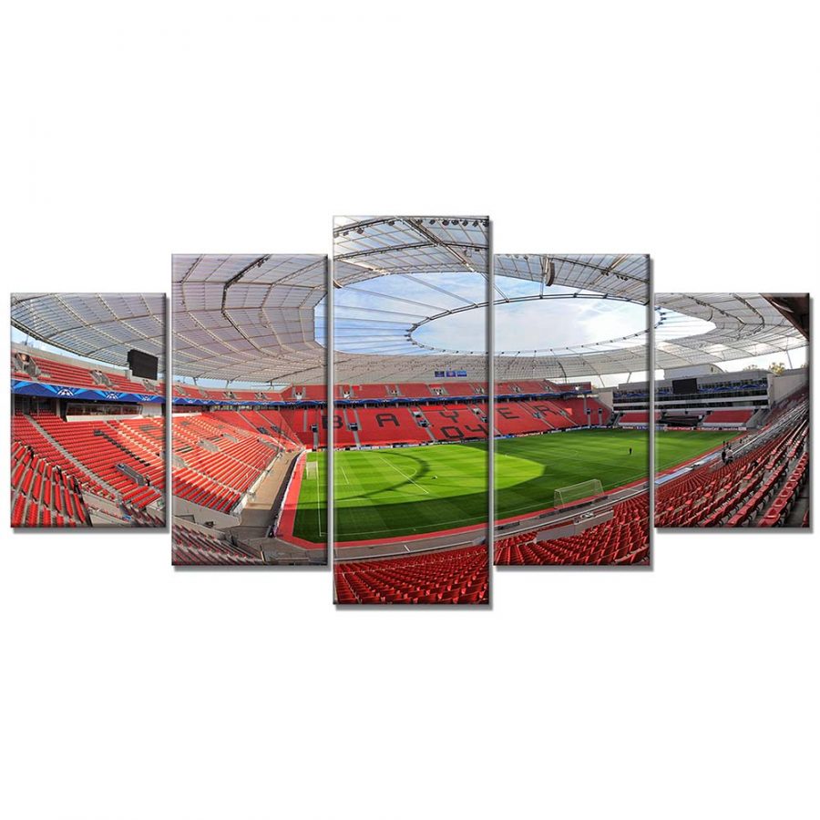 Bayer 04 Leverkusen BayArena Spielfeld 5 B04 Leinwandbilder – Bild 6