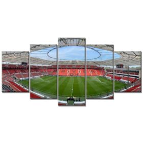Bayer 04 Leverkusen BayArena Spielfeld 9 B04 Leinwandbilder