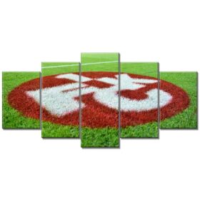 1. FC Kaiserslautern 1FCK Stadion Fritz-Walter-Stadion 03 Leinwandbilder