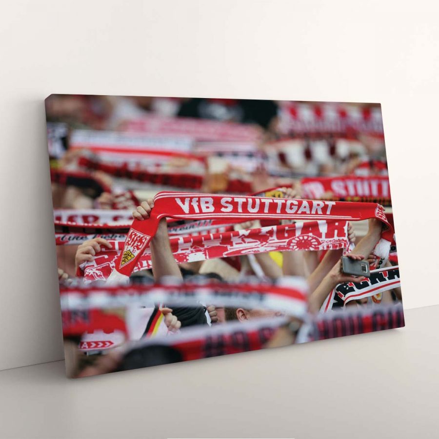 VfB Stuttgart Fans VFB Leinwandbilder – Bild 7